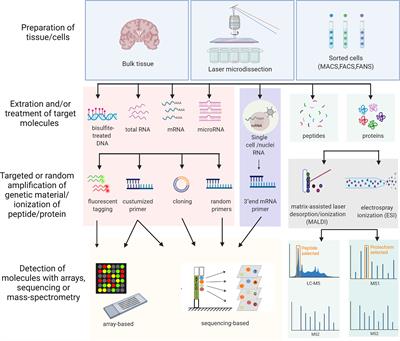 A Systematic Review of Tissue and Single Cell Transcriptome/Proteome Studies of the Brain in Multiple Sclerosis